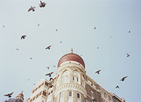 <p>Feb.9 Mumbai <br />
mm's<br />
Type-C print ( Kodak PORTRA, FUJICOLOR Pro-D )</p>